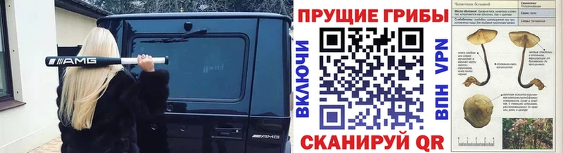 Псилоцибиновые грибы мицелий  Спас-Деменск 